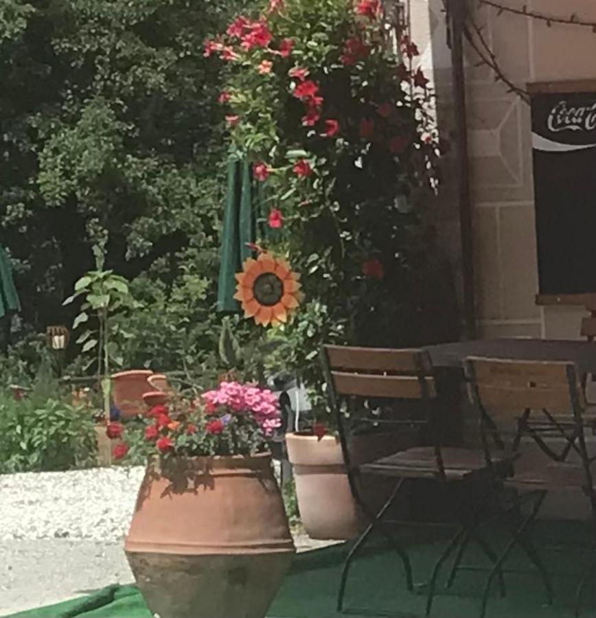Bed and Breakfast Ustria Crusch Alva Tavanasa Екстер'єр фото