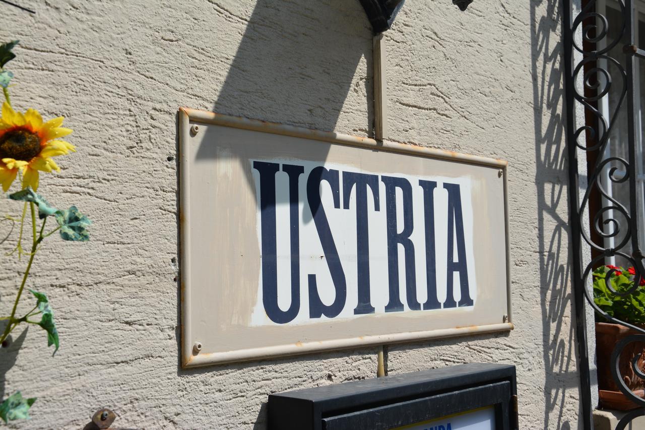 Bed and Breakfast Ustria Crusch Alva Tavanasa Екстер'єр фото